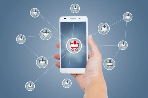 若軟件服務(wù)巨頭憑空消失，行業(yè)將出現(xiàn)顛覆性變革